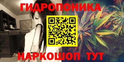 ПСИЛОЦИБИНОВЫЕ ГРИБЫ Будённовск