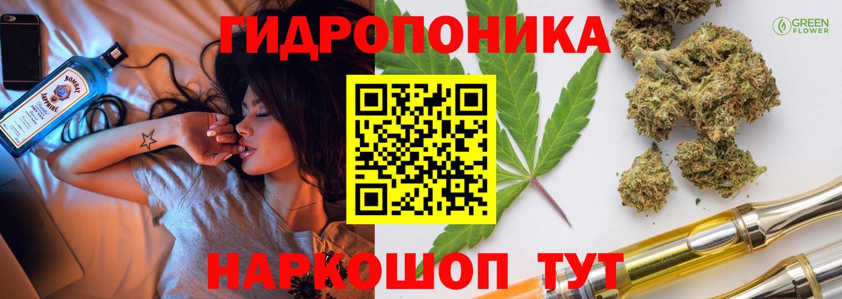 Каннабис OG Kush Чистополь